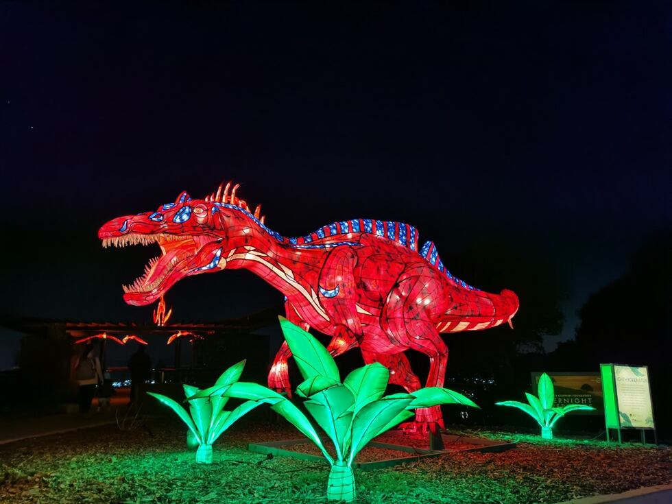 Dinosaur lights display at The Louisville Zoo