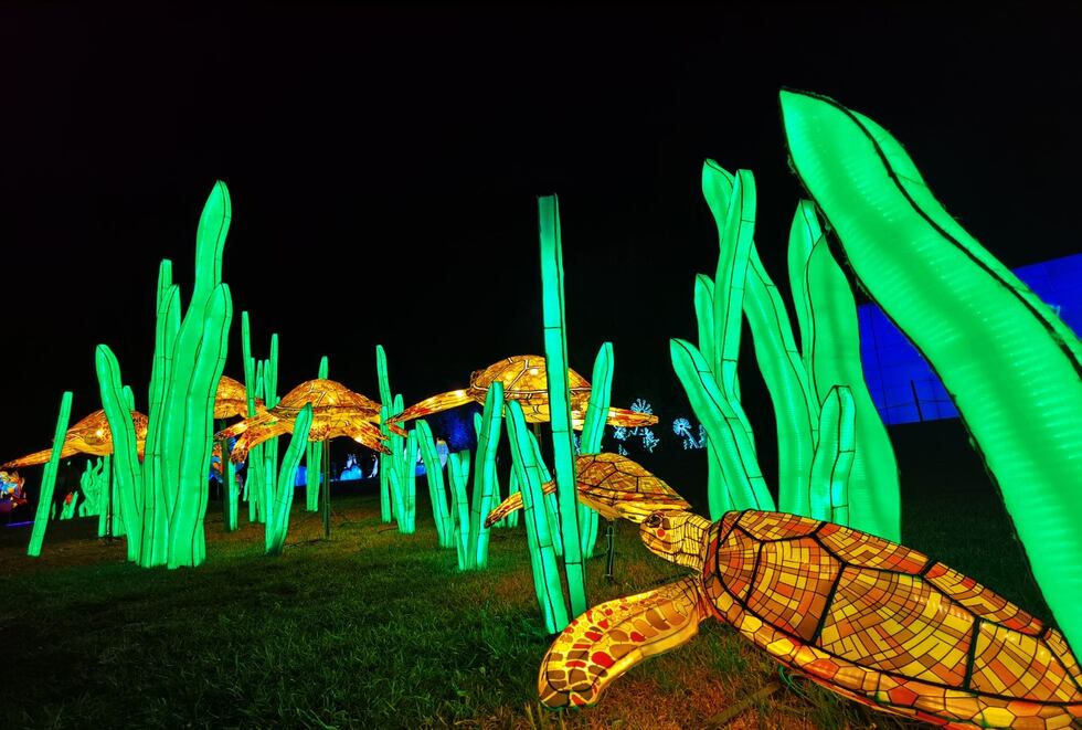 Turtle lights display at The Louisville Zoo